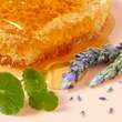 NUXE Reve de Miel Cica Handcreme - 3