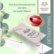 HIMALAYA'S Dreams Ayurveda Zungenreiniger 2er Set - 2