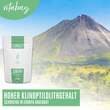ZEOLITH PULVER 95% Klinoptilolith vegan Pulver - 3