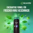 Nicorette Mint Spray 1 mg / Spr&uuml;hsto&szlig; Nfc - 6
