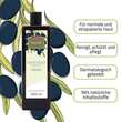 Plantana Olive Pflege Duschbad mit Bio-Olive - 2