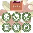 Plantana Shea K&ouml;rpercreme Sheabutter mit Vitamin-E - 3