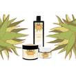 Plantana Aloe Vera Gesichtscreme Hyaluron &amp; Vit.-E - 6