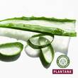 Plantana Aloe Vera Pflege Duschbad mit Bio-Aloevera - 4