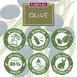 Plantana Olive K&ouml;rpercreme mit Vitamin-E - 3
