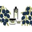 Plantana Olive K&ouml;rpercreme mit Vitamin-E - 5