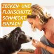 Frontpro 11 mg Kautabletten f&uuml;r Hunde 2-4 kg - 2