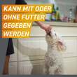 Frontpro 11 mg Kautabletten f&uuml;r Hunde 2-4 kg - 7