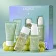 CAUDALIE Vinopure Springt Set 2023 - 3