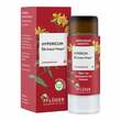 Hypericum D 6 Globuli Pfl&uuml;ger Globulispender - 1