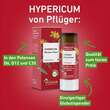 Hypericum C 30 Globuli Pfl&uuml;ger Globulispender - 3