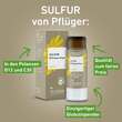 Sulfur D 12 Globuli Pfl&uuml;ger Globulispender - 3