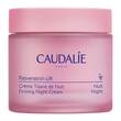 CAUDALIE Resveratrol-Lift Kr&auml;uter-Nachtcreme - 1