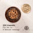 Solgar Ester-C Plus 500 mg Kapseln - 6
