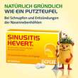 Sinusitis Hevert Tabletten - 2