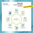 Collal Halal-Collagen move Doypack Pulver - 4
