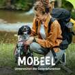 Mobeel Erg.Futterm.Pulver f&uuml;r Hunde / Katzen - 2