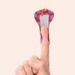 WILD STRIPES Pflaster Finger Flexi Food INT - 4