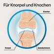DR.B&Ouml;HM Knorpel &amp; Knochen Tabletten - 3