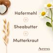 Aveeno Calm + Restore Re-Hydrierende Hafer Nachtcreme  - 6