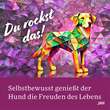 Krafttier Tee Cooler Hund Bio Salus Filterbeutel - 3