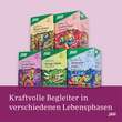 Krafttier Tee Cooler Hund Bio Salus Filterbeutel - 5