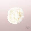 Widmer Skin Appeal Peeling ohne P. - 5