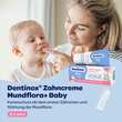 Dentinox Zahncreme Mundflora Baby - 3