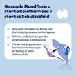 Dentinox Zahncreme Mundflora Kids - 5