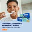 Dentinox Zahncreme Mundflora Junior - 3