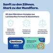 Dentinox Zahncreme Mundflora Junior - 4