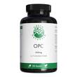 Green Naturals Opc 1000mg aus Traubenkern-Extr.Kps - 1