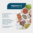 Magnesia 7 + 1 Magnesium-Komplex vegan Kapseln - 2