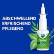 Wick Nasivin Natura Nasenspray - 2