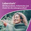 Leber-Komplex Mariendistel + Artischocke+Cholin Kapseln  - 2