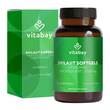 Liposomales Mumijo Shilajit 1000mg hochdos.Weichk. - 1