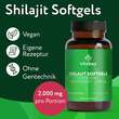 Liposomales Mumijo Shilajit 1000mg hochdos.Weichk. - 2