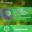 Liposomales Magnesium L-Threonat 2000 mg Weichkapseln  - 3