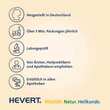 Curcumin Hevert Optisolv Kapseln - 4