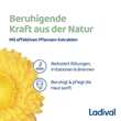Ladival Ger&ouml;tete Haut Sonnensch.Gel get&ouml;nt Lsf 50 +  - 5