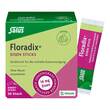 Floradix Eisen Sticks Pulver Salus - 1