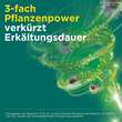 Meditonsin Extract pflanzliche Erk&auml;ltungstabletten - 6