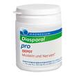 Magnesium Diasporal pro + B-Vit.DEPOT Musk.+Nerv.Tab - 1
