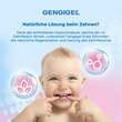 Gengigel Erste Z&auml;hnchen Zahngel - 5