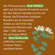 Nux vomica D 6 Globuli Pfl&uuml;ger Globulispender - 4