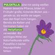 Pulsatilla D 12 Globuli Pfl&uuml;ger Globulispender - 4