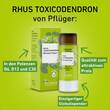 Rhus Toxicodendronicodendron D 12 Globuli Pfl&uuml;ger Globulisp. - 2