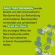 Rhus Toxicodendronicodendron D 12 Globuli Pfl&uuml;ger Globulisp. - 4