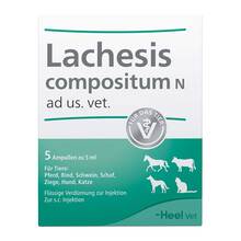 Abbildung: LACHESIS COMPOSITUM N ad us.vet.Ampullen 5 St, Ampullen PZN 00052824 