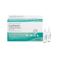 Abbildung: LACHESIS COMPOSITUM N ad us.vet.Ampullen 50 St, Ampullen PZN 00052830 